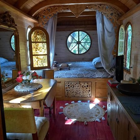 La Roulotte Du Petit Paradis Saint-Rémy-de-Provence 외부 사진