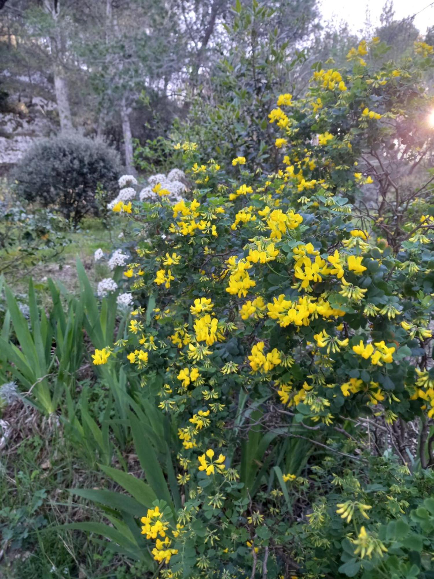 La Roulotte Du Petit Paradis Saint-Rémy-de-Provence 외부 사진