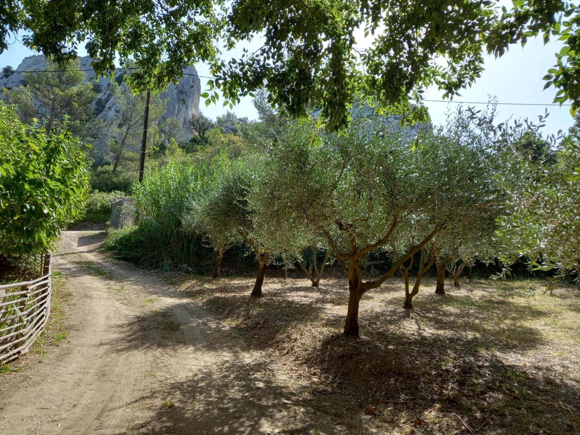 La Roulotte Du Petit Paradis Saint-Rémy-de-Provence 외부 사진