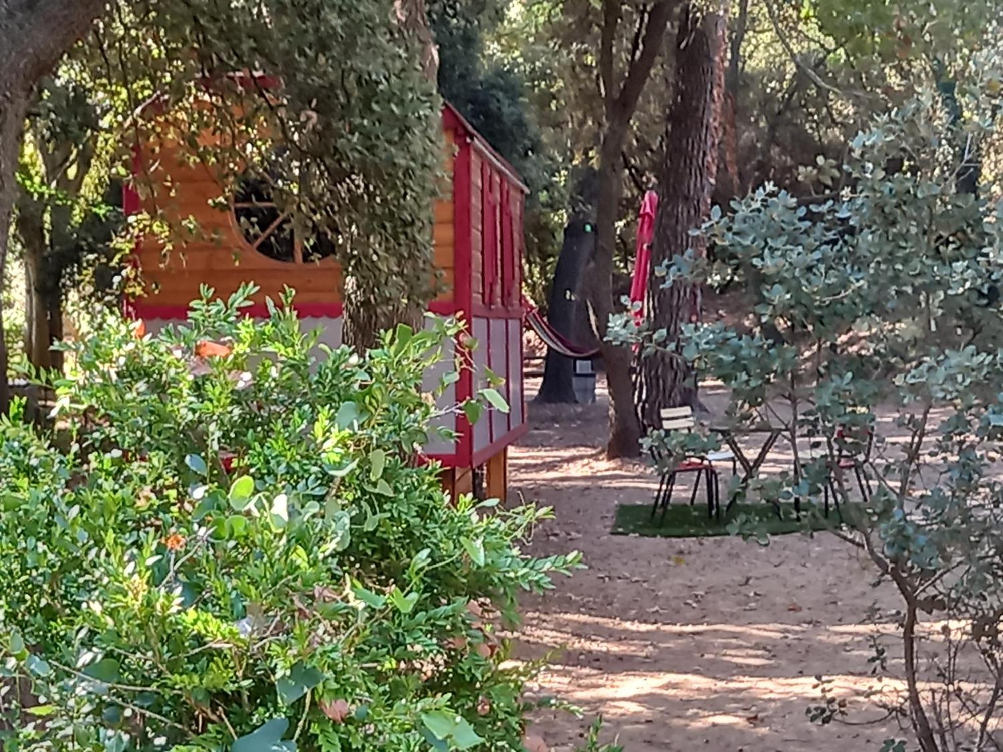 La Roulotte Du Petit Paradis Saint-Rémy-de-Provence 외부 사진